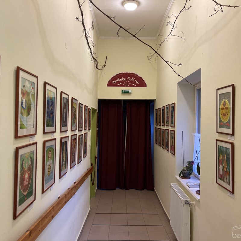 Madárkereső királyfiak - könyvbemutató 21